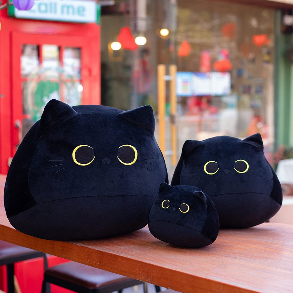 Le coussin Chaton 18 cm - peluche squishmallow