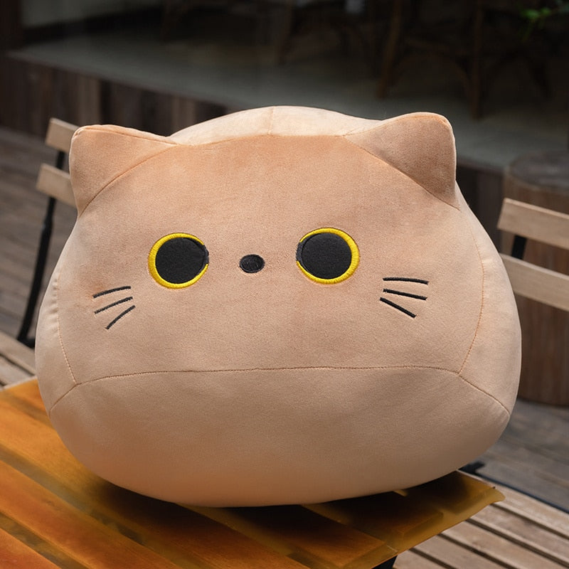 Le coussin Chaton 18 cm - peluche squishmallow