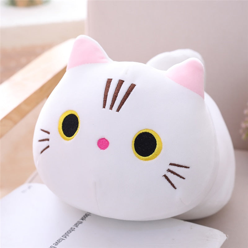 Le coussin Chaton 25cm - peluche squishmallow