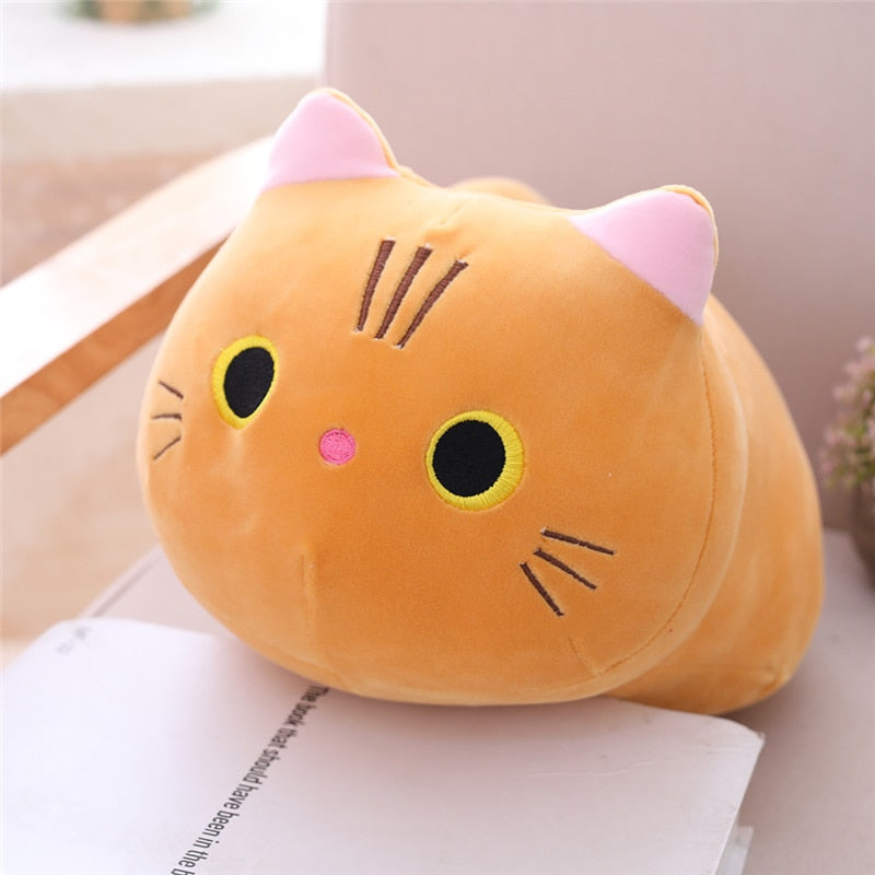 Le coussin Chaton 25cm - peluche squishmallow